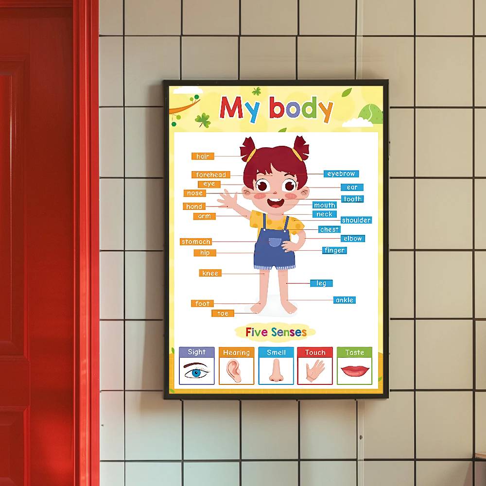 Renkli yürümeye başlayan çocuk - Kids Education Charts incelemesi ve fiyatı